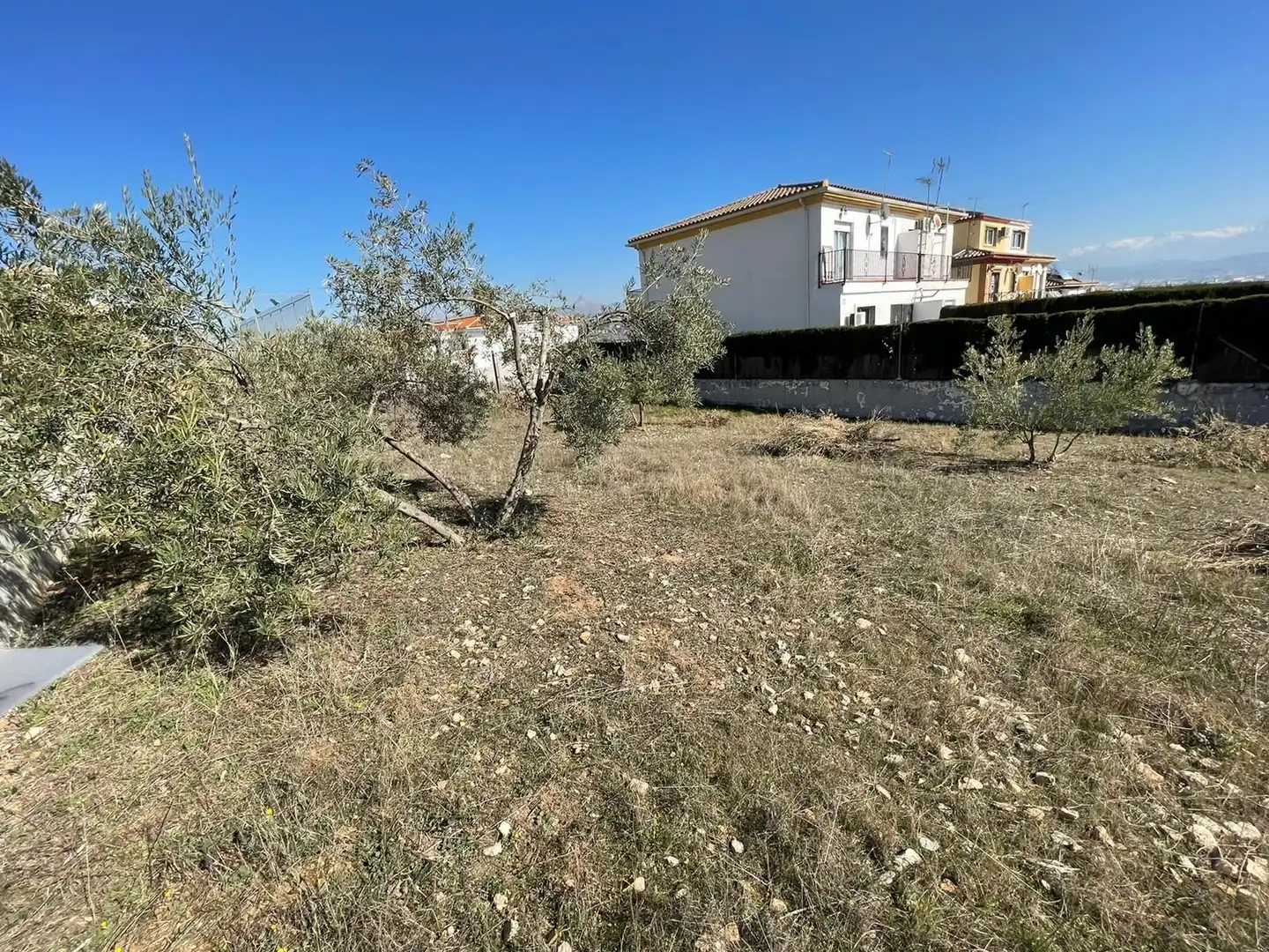 Terrenos y solares en venta en Centro de Albolote, imagen 13