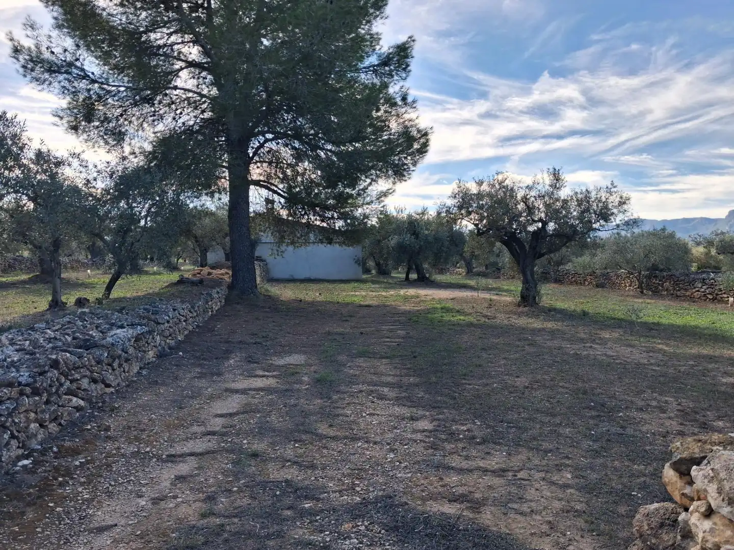 Terrain rustique à vendre à Polígono 6 Paraje 109 LAS PLANAS, imagen 34
