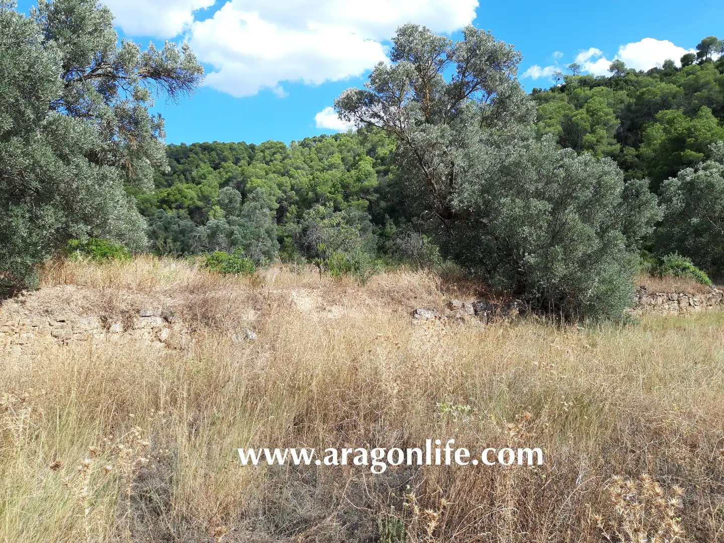 Finca rústica en venta en Fabara