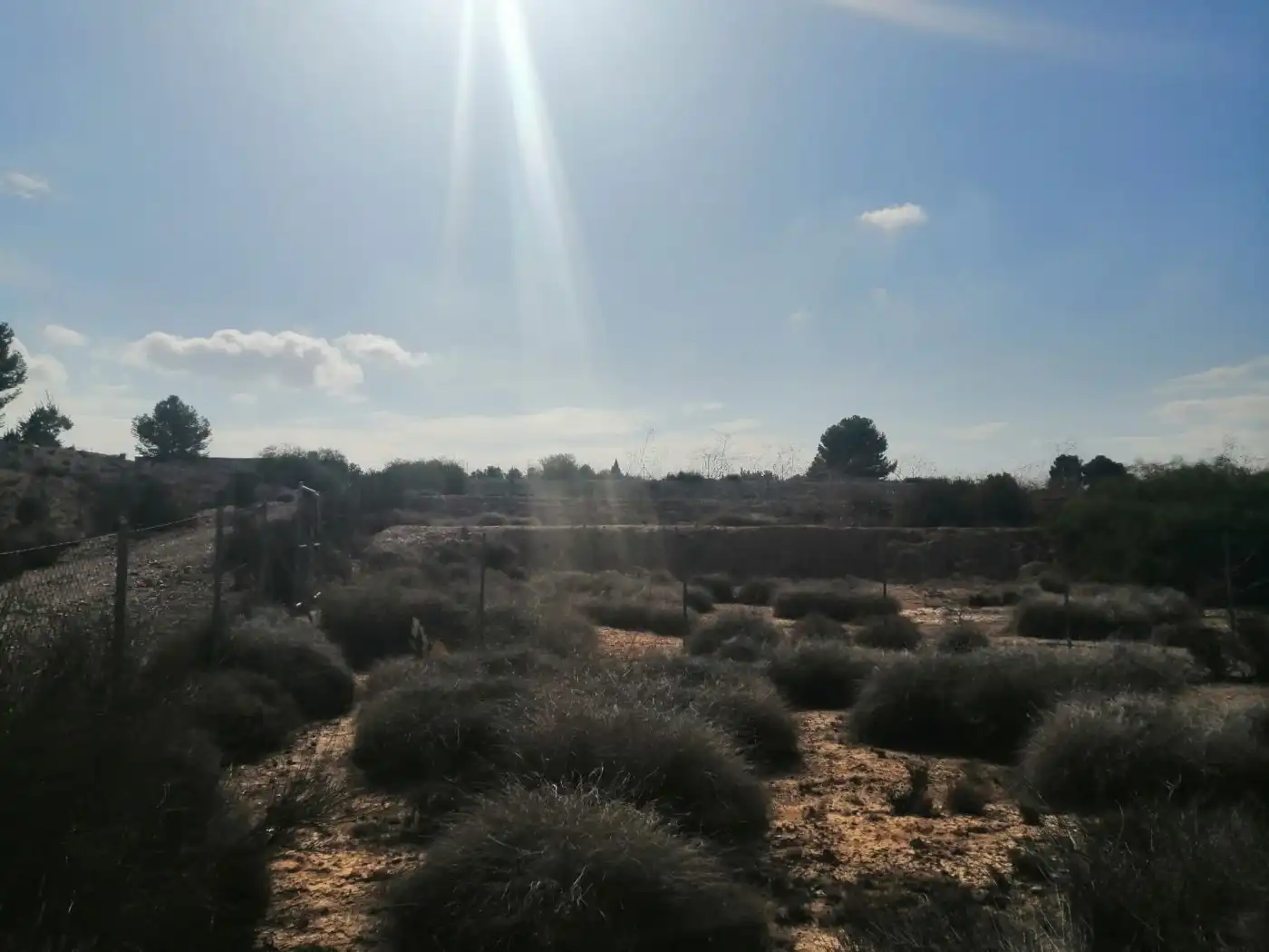 Terreno residenziale in vendita a Casco Urbano, imagen 12