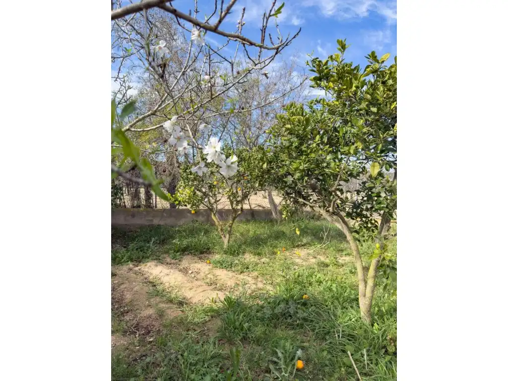 Villa mit Garten zum Verkauf in Cala Vedella-Cala Tarida, imagen 12