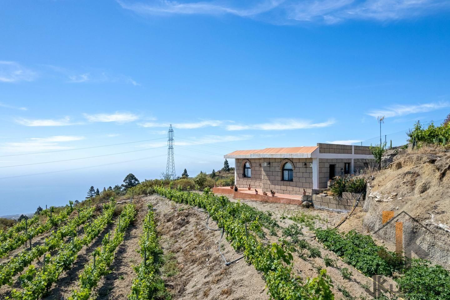 Vista exterior de Casa o xalet en venda en Fasnia amb Jardí privat