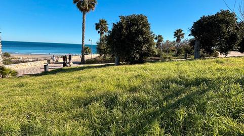 Foto 3 de Casa o xalet en venda a Avenida Avenida de Italia, 7, Mil Palmeras, Pilar de la Horadada