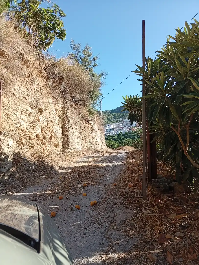 Vista exterior de Finca rústica en venta en Jete con Terraza, Piscina y Amueblado
