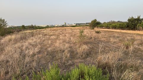 Foto 2 de Residencial en venta en Rafelbuñol-rafelbunyol - , Pobla de Farnals, La Pobla de Farnals