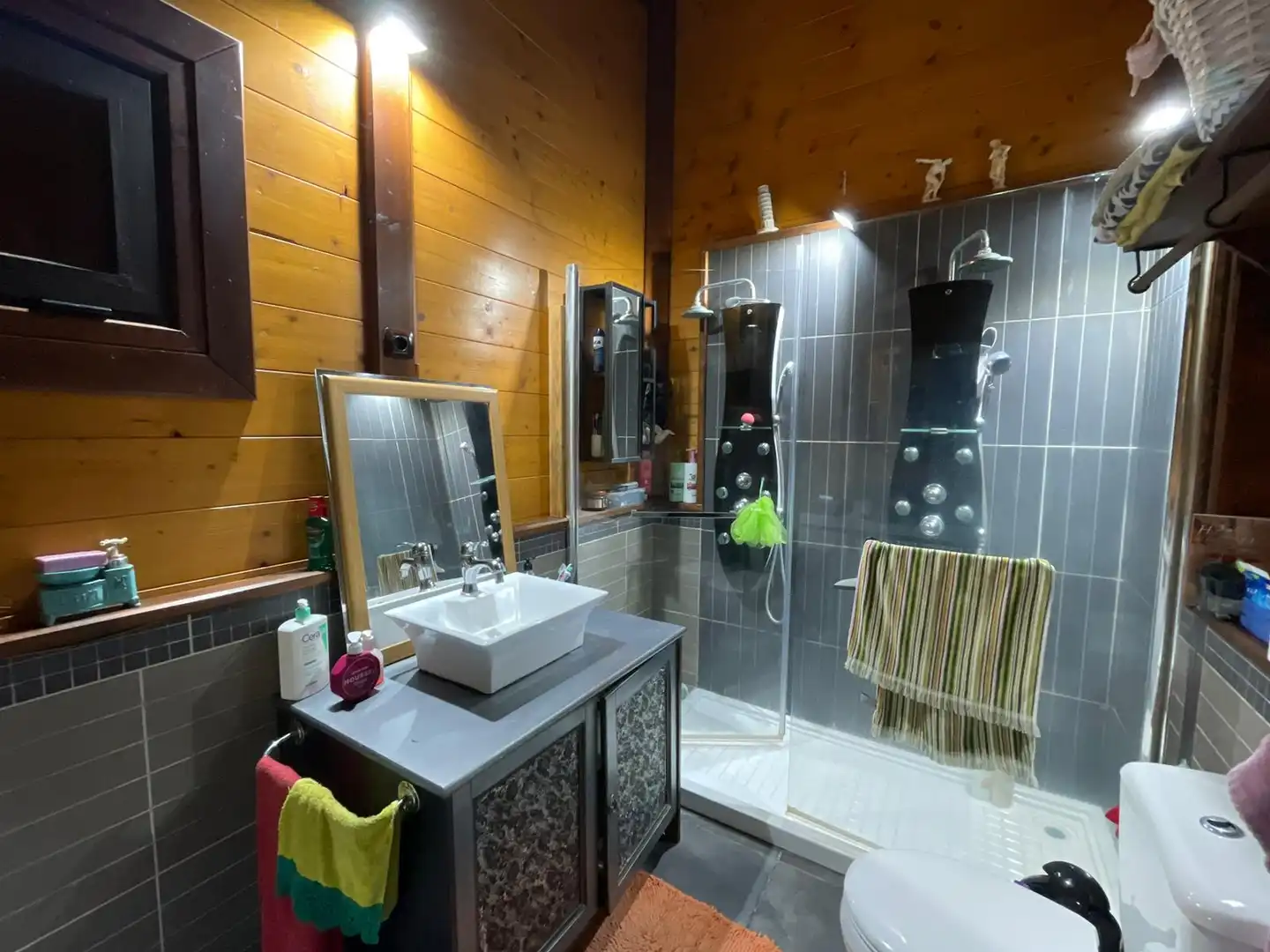 Baño de Casa o chalet en venta en Tacoronte