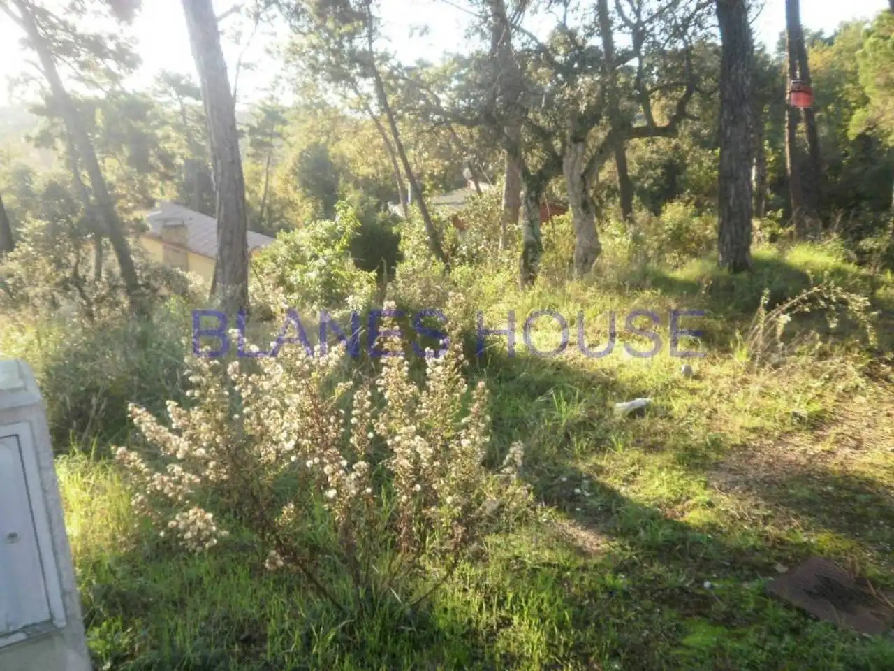 Terreno residencial en venta en Residencial Park, imagen 2