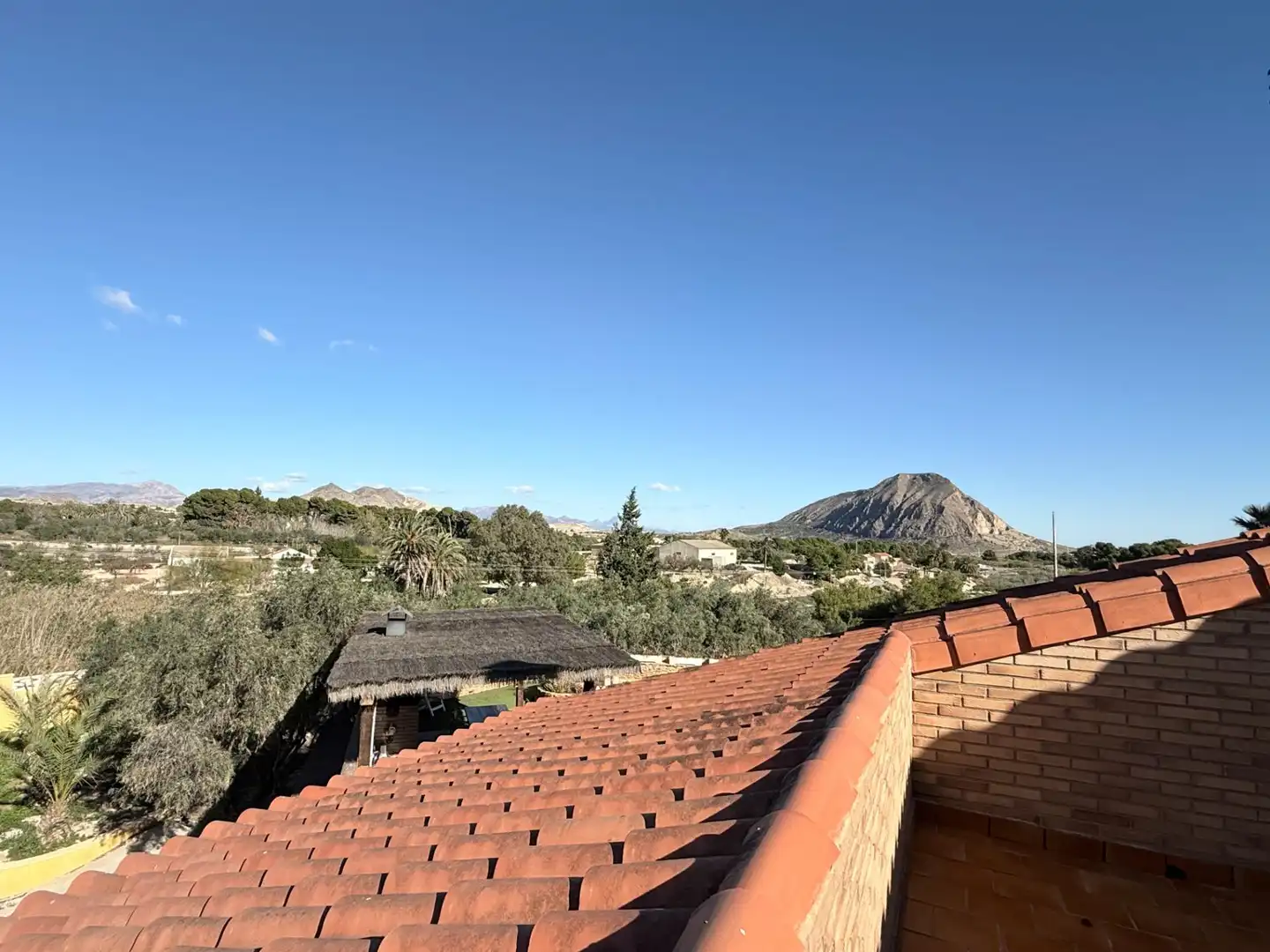 Vista exterior de Casa o chalet en venta en Alicante / Alacant con Jardín privado y Piscina comunitaria