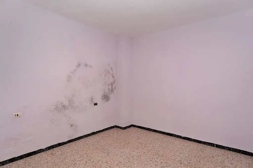 Habitación de Piso en venta en Moratalla