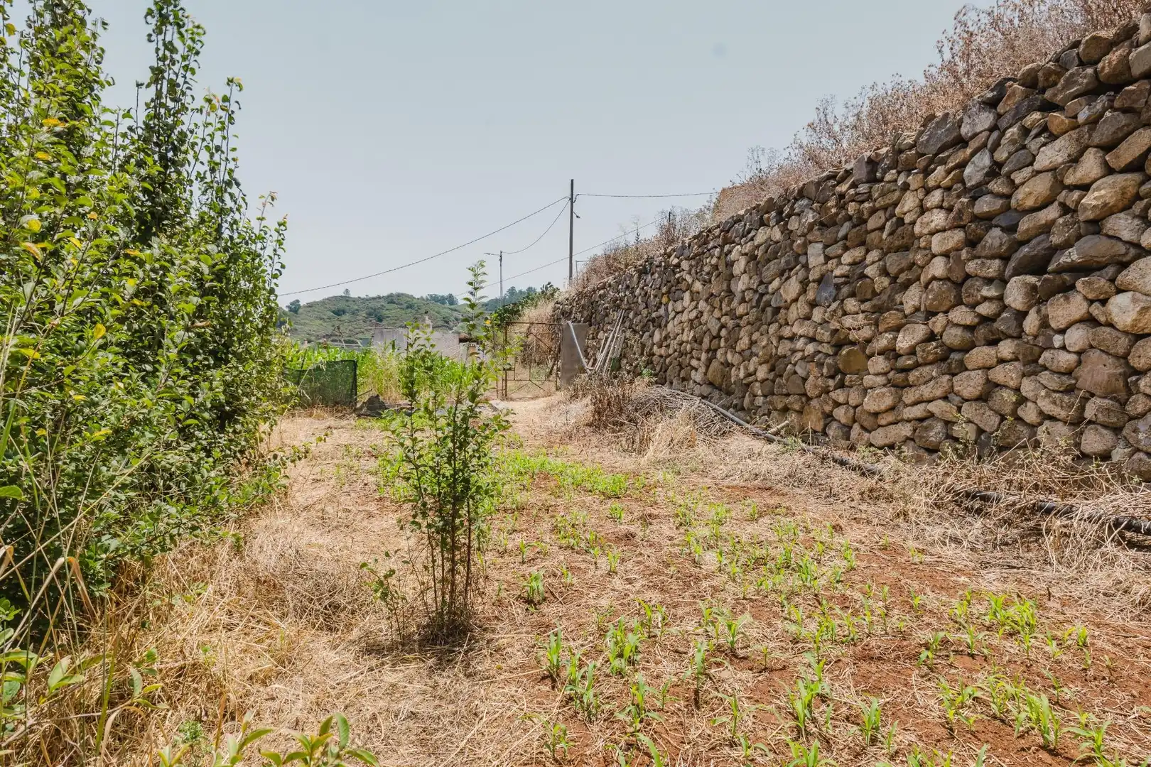 Casa o chalet en venta en Teror con Jardín privado y Terraza