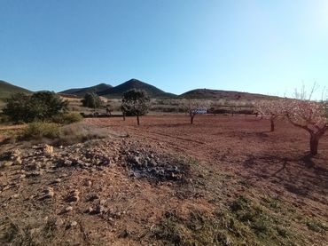 Terreno rustico in vendita a La Pinilla - Las Palas