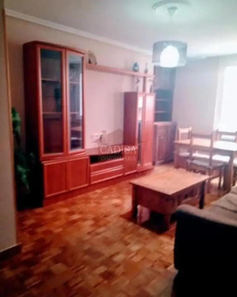 Sala de estar de Piso de alquiler en Salamanca con Calefacción, Parquet y Terraza