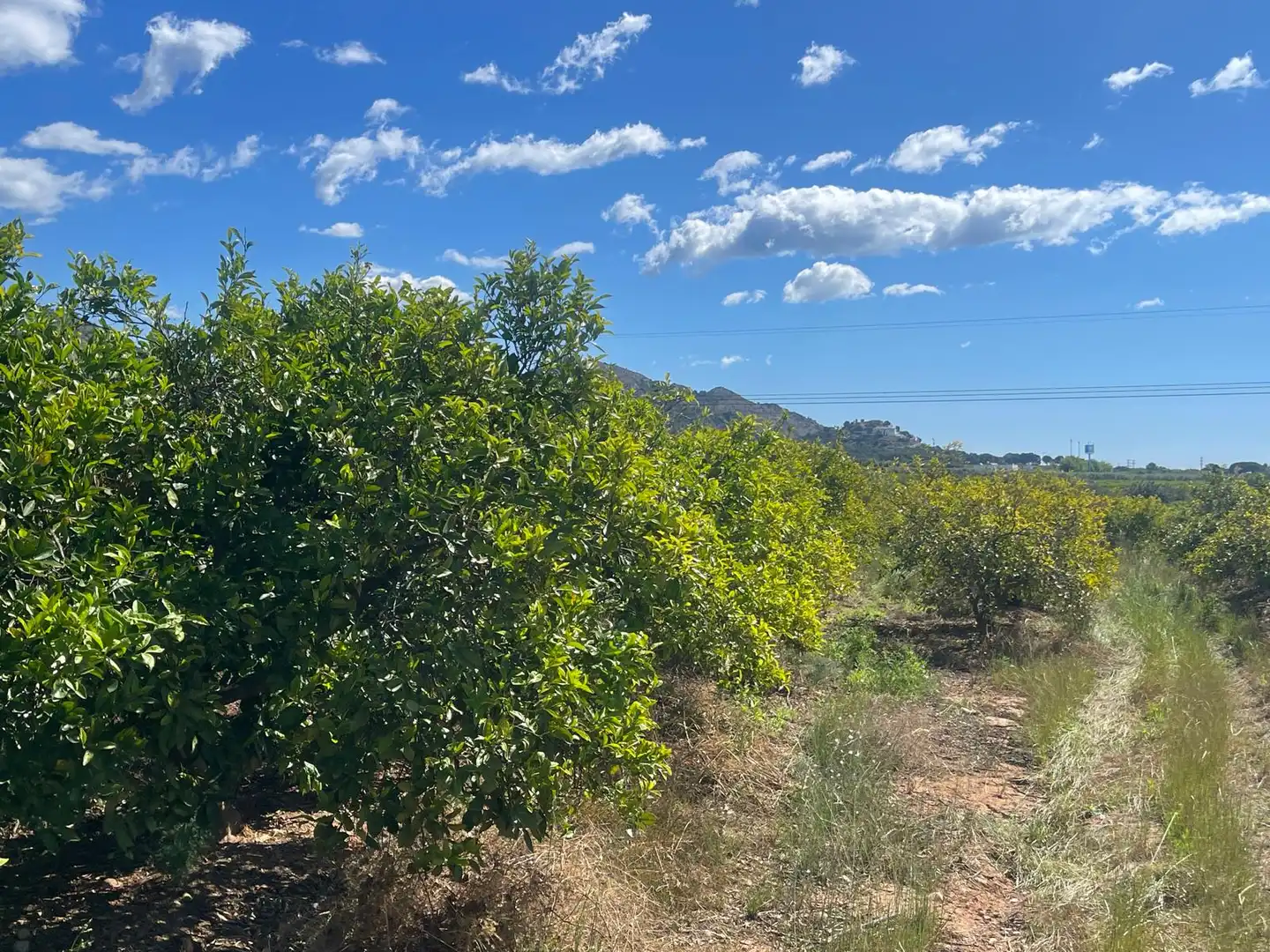 Grundstücke zum Verkauf in Castellón de la Plana / Castelló de la Plana