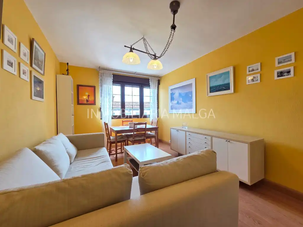 Sala d'estar de Pis en venda en Colunga amb Calefacció, Parquet i Moblat