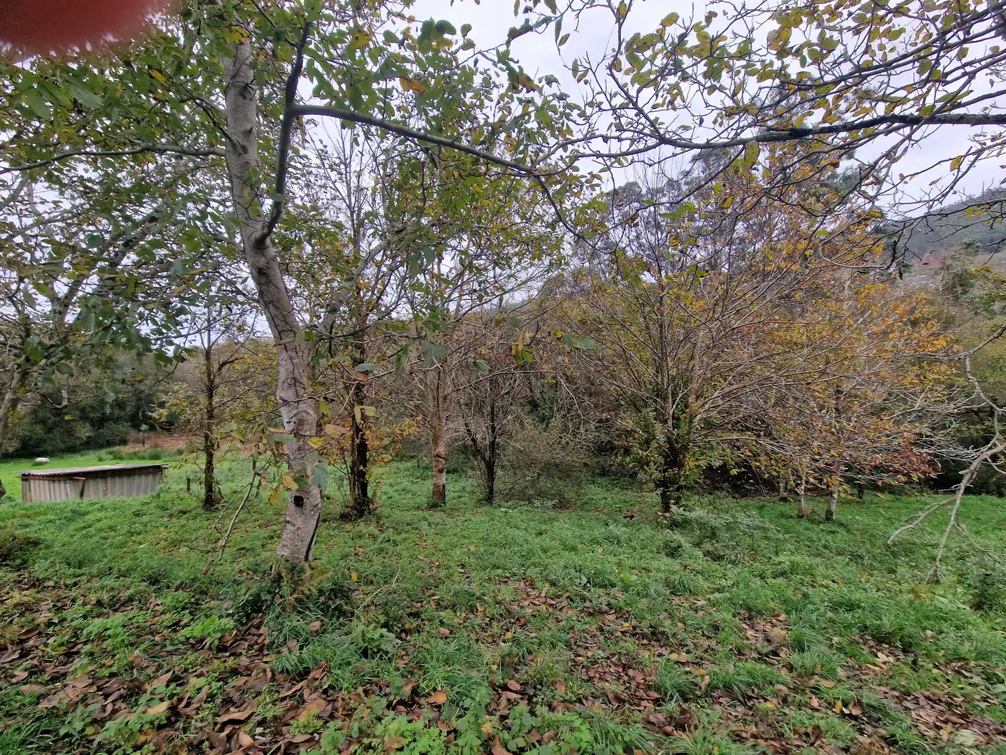 Maison avec jardin à vendre à Valdoviño, imagen 5