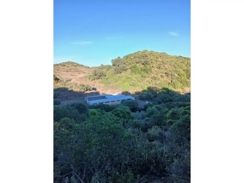 Residential for sale in Morón de la Frontera