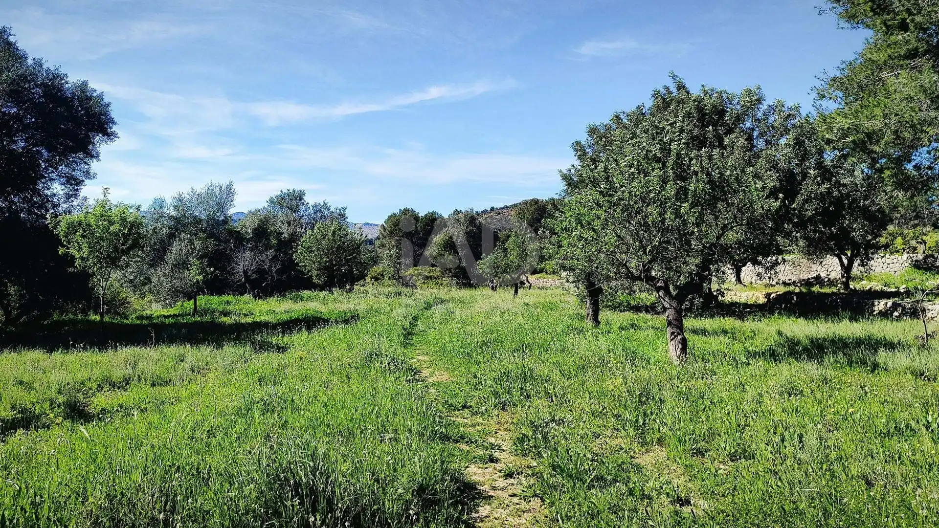 Residential for sale in Murla