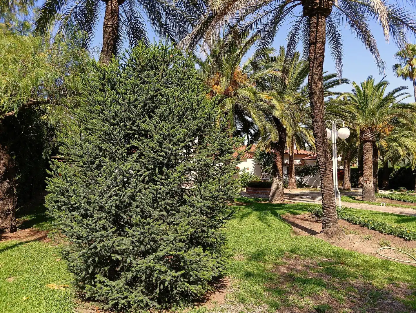 Jardí de Casa o xalet en venda en El Bosque amb Piscina comunitària