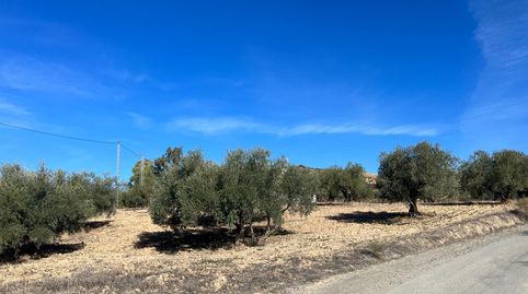 Foto 4 de Terreno en venta en Calle Diseminados, Almogía, Málaga