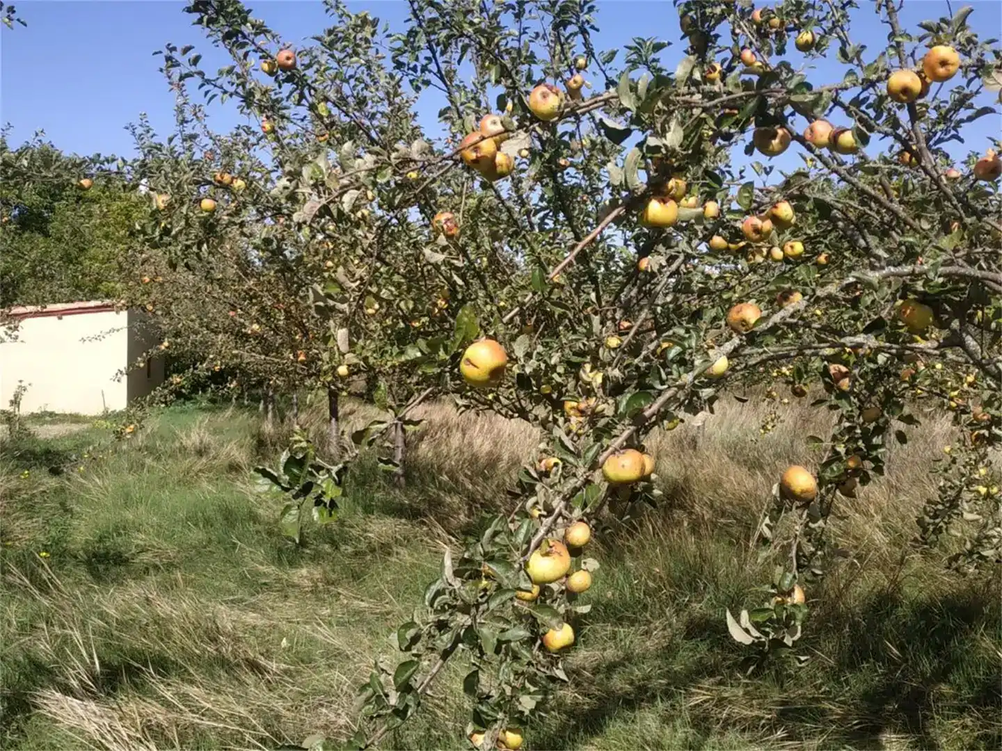 Jardí de Finca rústica en venda en Herrera de Pisuerga