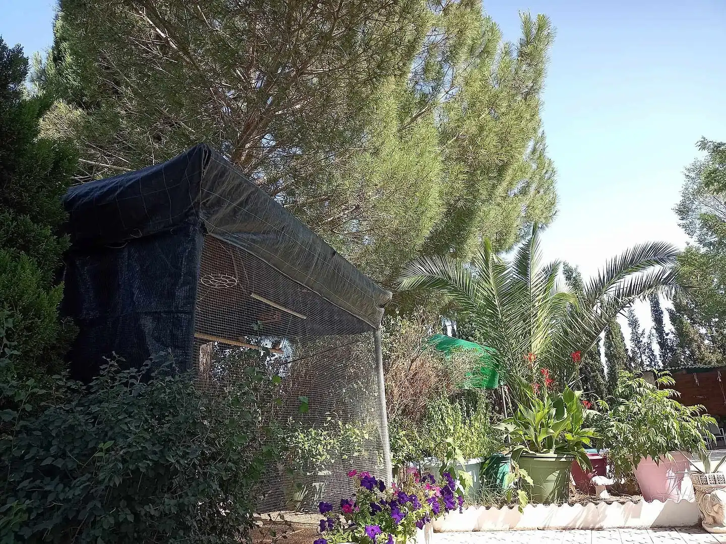 Villa à vendre à Sax, imagen 17