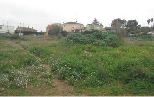 Local comercial en Venta en Moncada