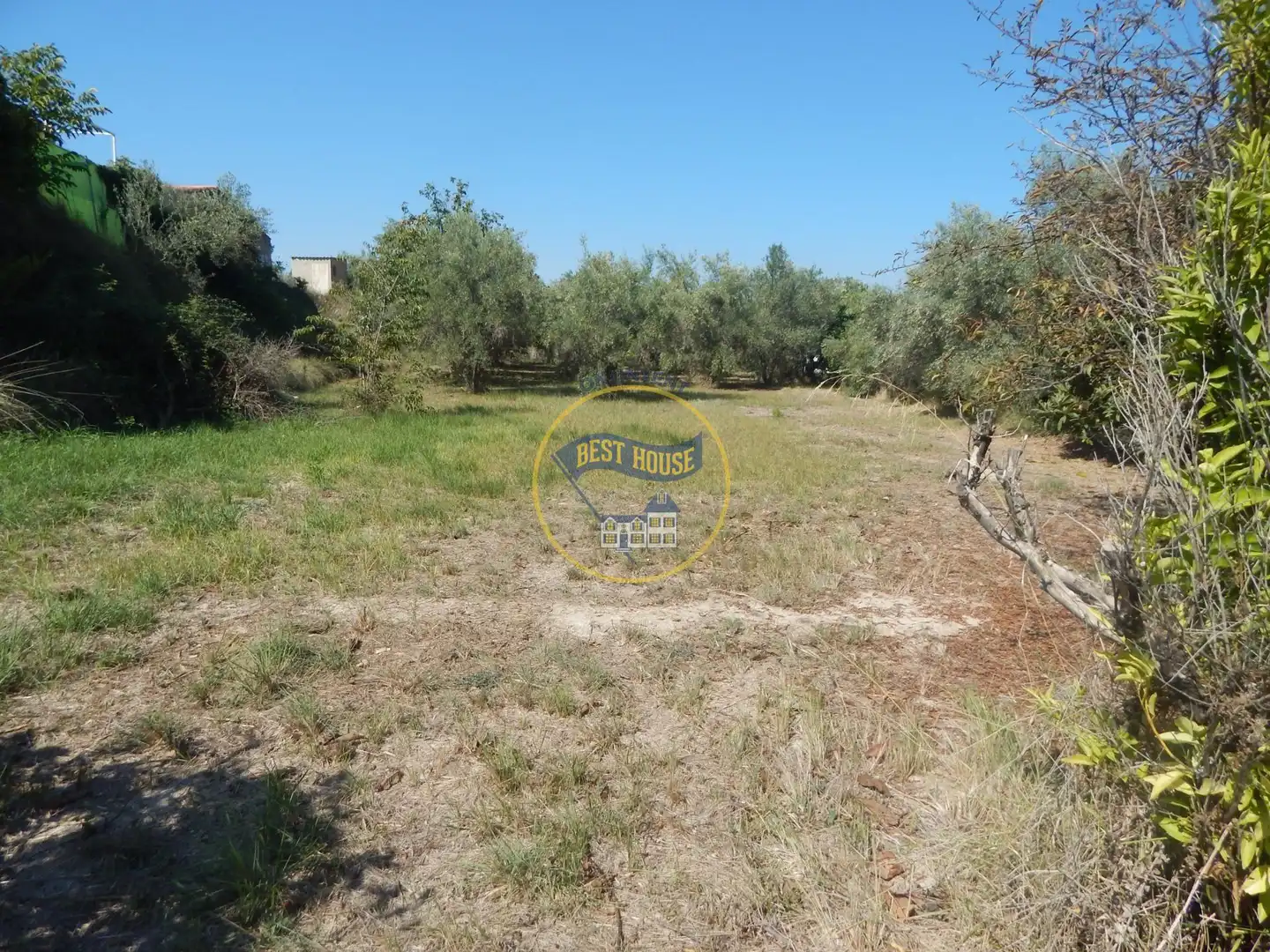 Terrain rustique à vendre à Sant Josep - Zona Hospital, imagen 12