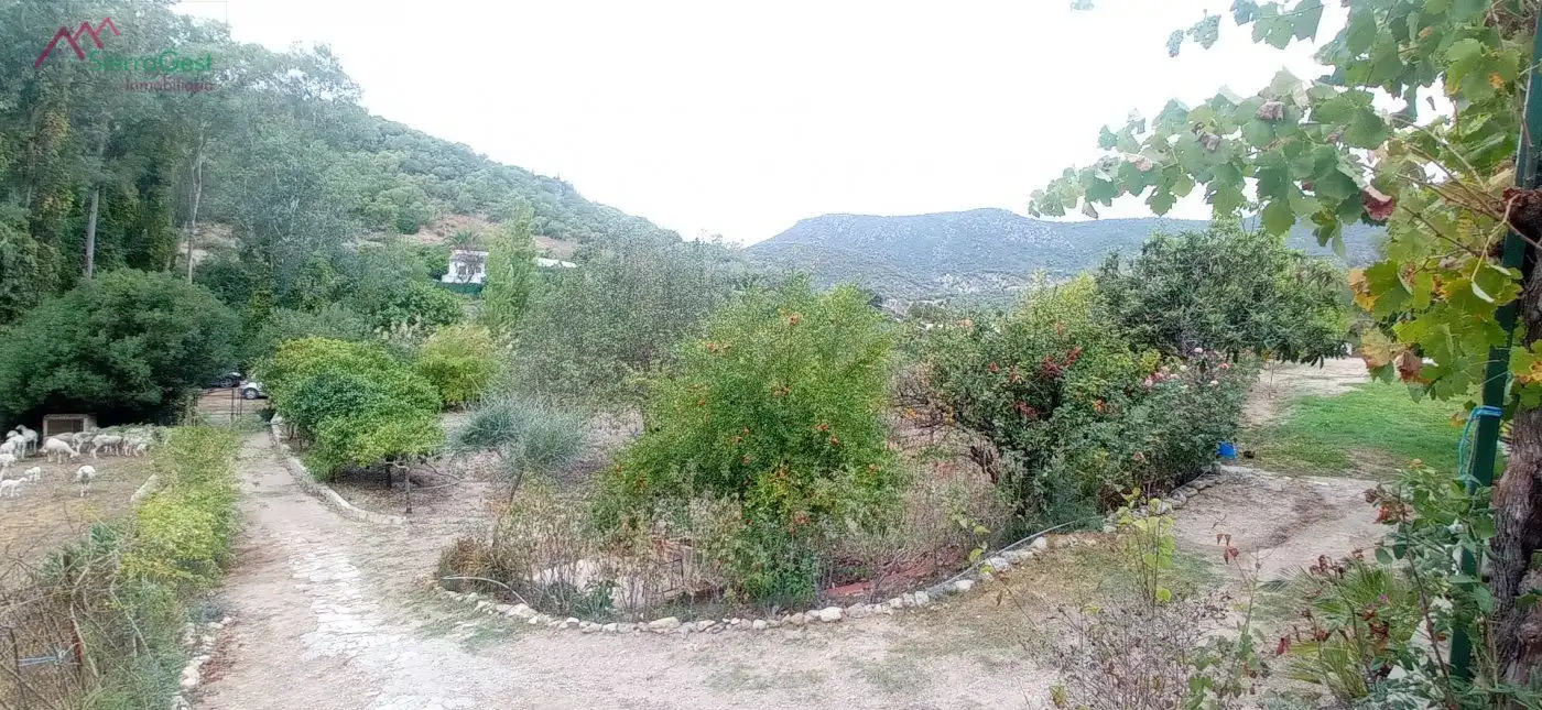 Terreni e lotti in vendita a Benaocaz, imagen 18