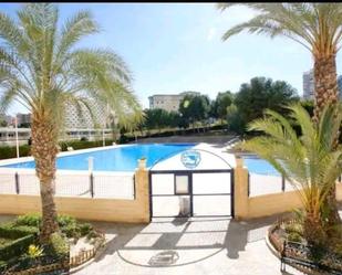 Piscina de Planta baixa en venda en Alicante / Alacant amb Calefacció