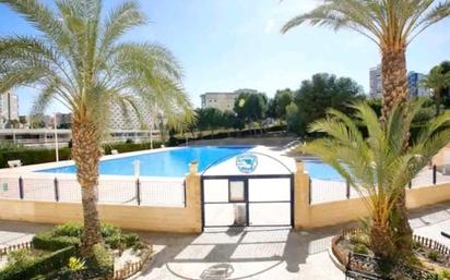 Swimming pool of Planta baja for sale in Alicante / Alacant  with Heating