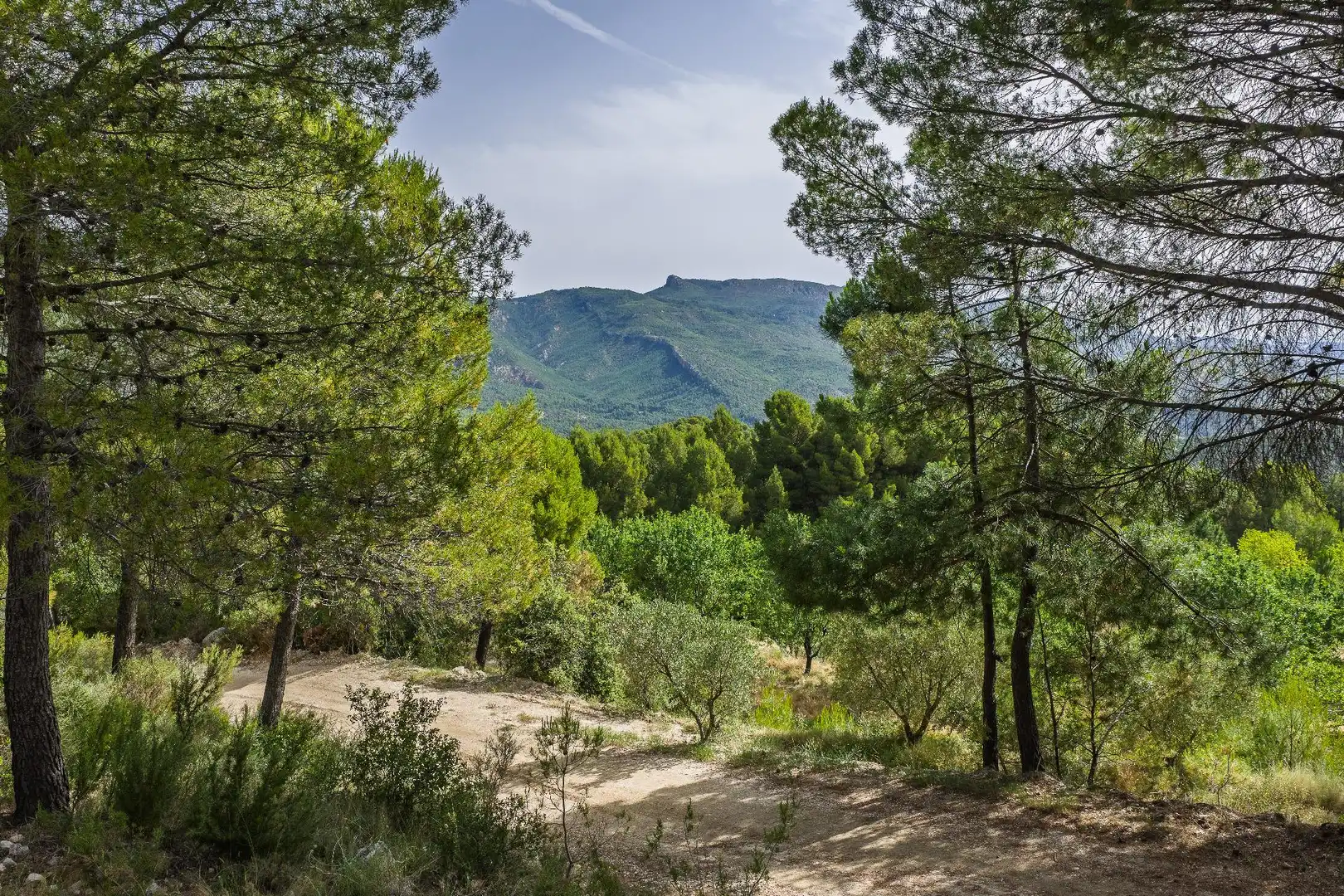 Finca rústica en venta en Moratalla con Piscina