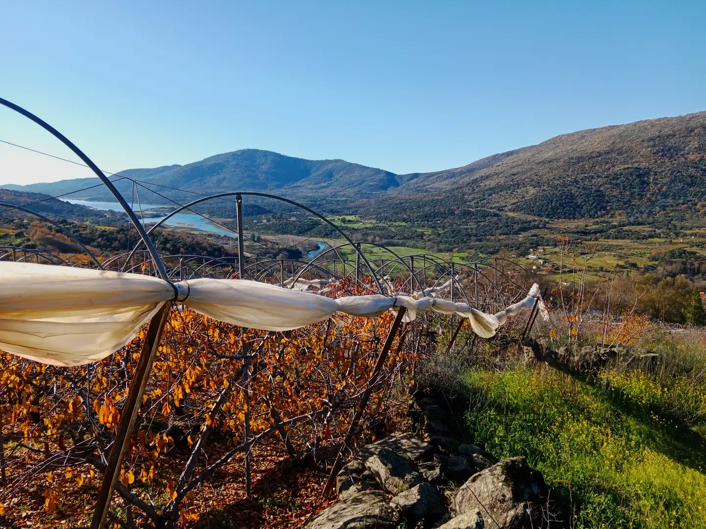 Terreni e lotti in vendita a Casas del Castañar, imagen 17