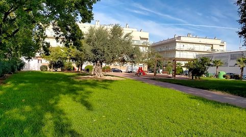 Foto 4 de Pis en venda a Oliva pueblo, Oliva
