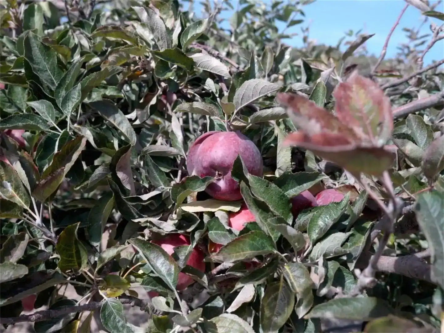 Vista exterior de Finca rústica en venda en Busquístar amb Jardí privat, Traster i Balcó