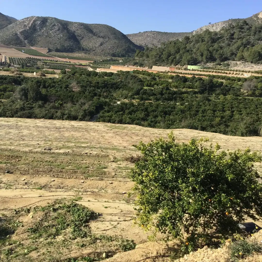 Terreno residencial en venta en Ador, imagen 8