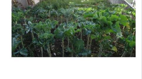 Foto 3 de Residencial en venda a Avenida Da Toxa, 20, Raxó, Poio