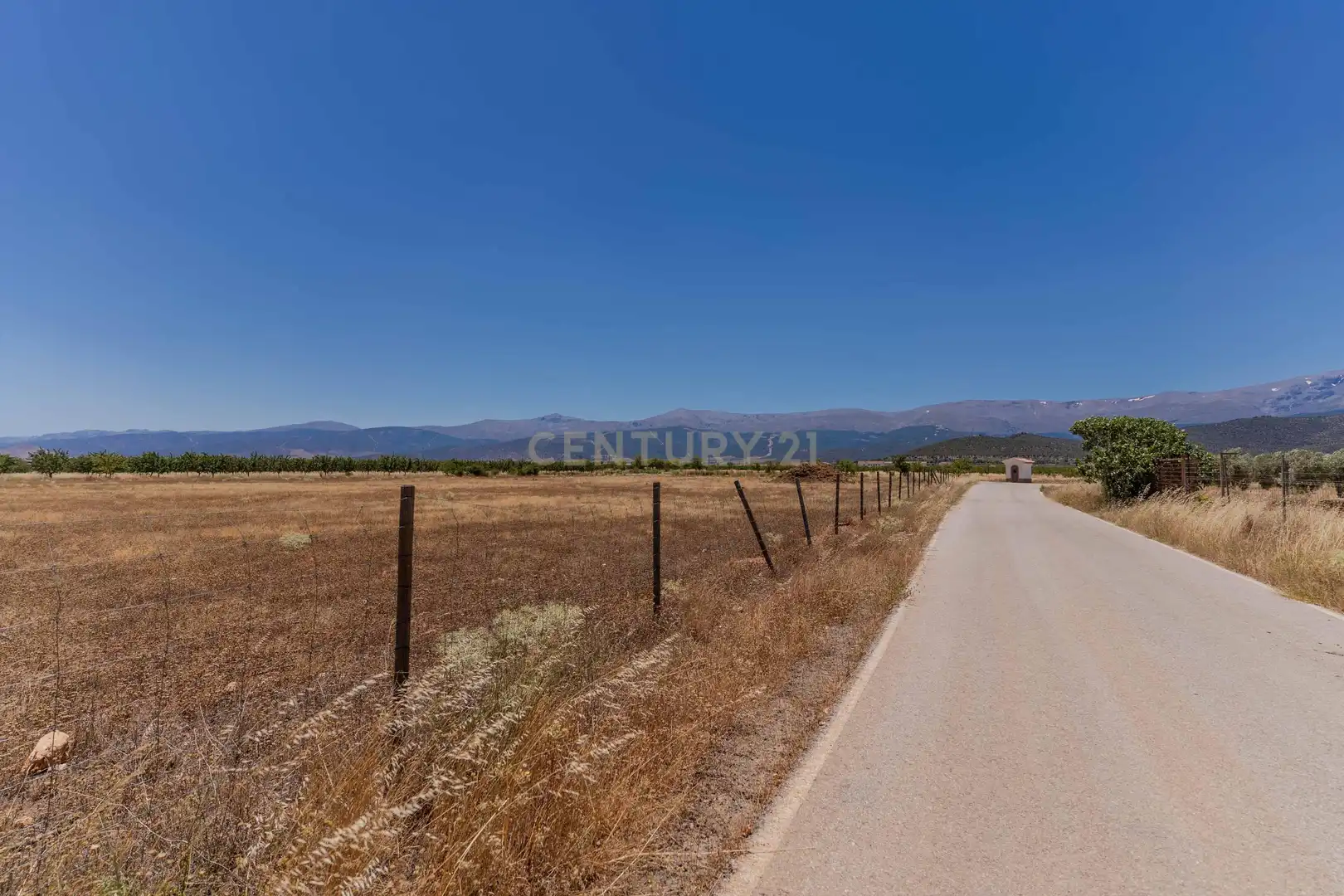 Terreno en venta en Cogollos de Guadix