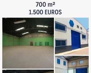 Industrial buildings to rent in Molina de Segura