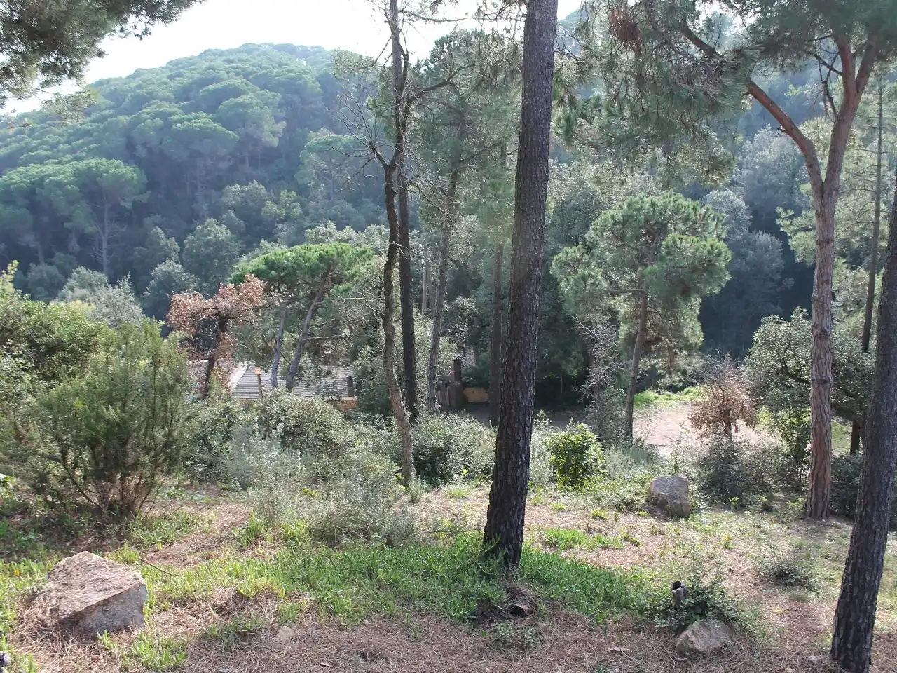 House with garden for sale in PASAJE  CLAVELLS 3, imagen 8