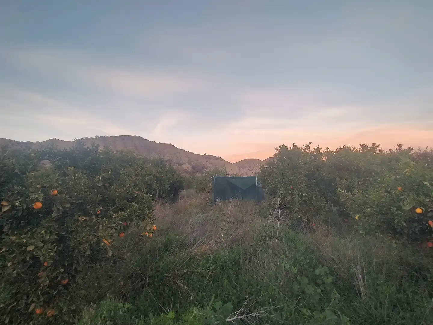 Residential land for sale in Instinción, imagen 6