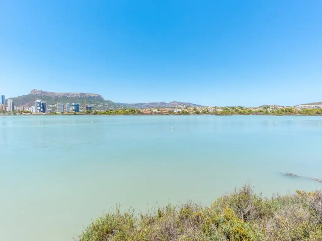 Apartament amb piscina en venda a Zona Levante - Playa Fossa, imagen 24