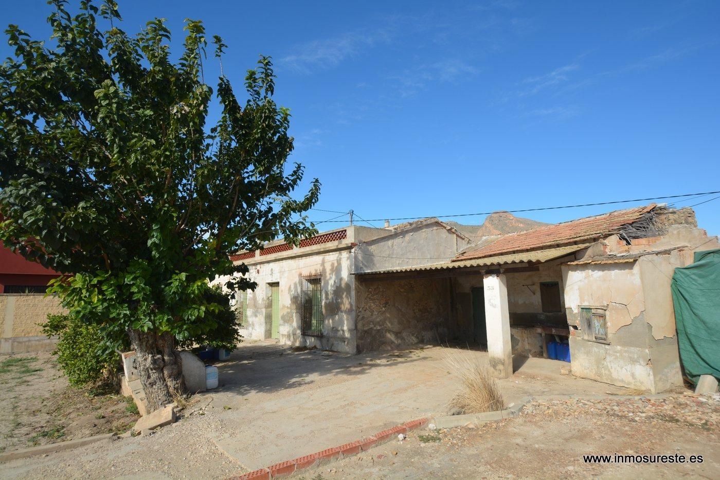 Vista exterior de Finca rústica en venda en Orihuela