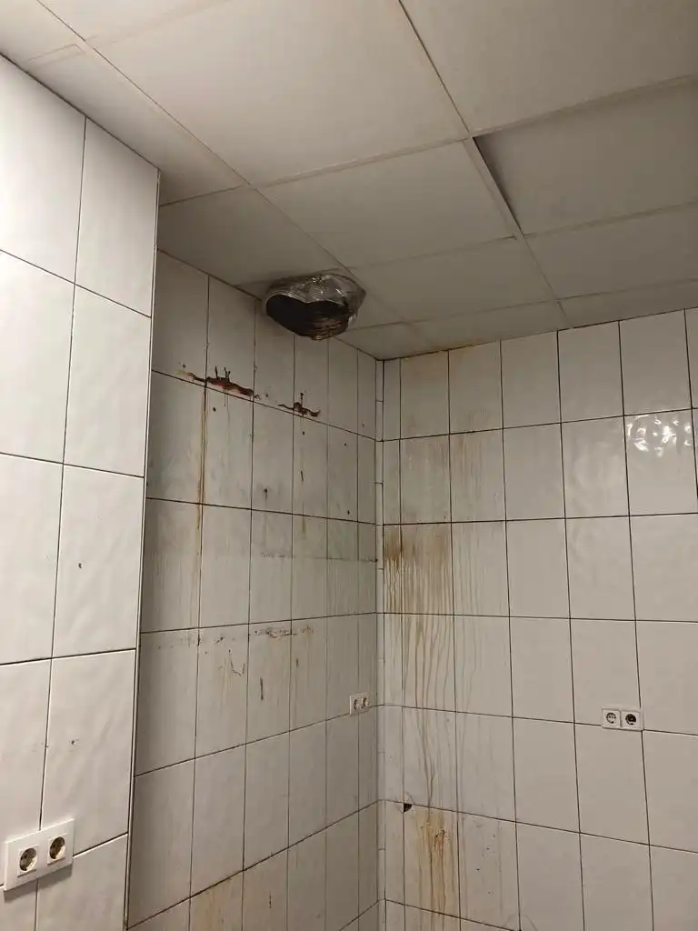 Gewerbefläche zur Miete in Centro, imagen 8