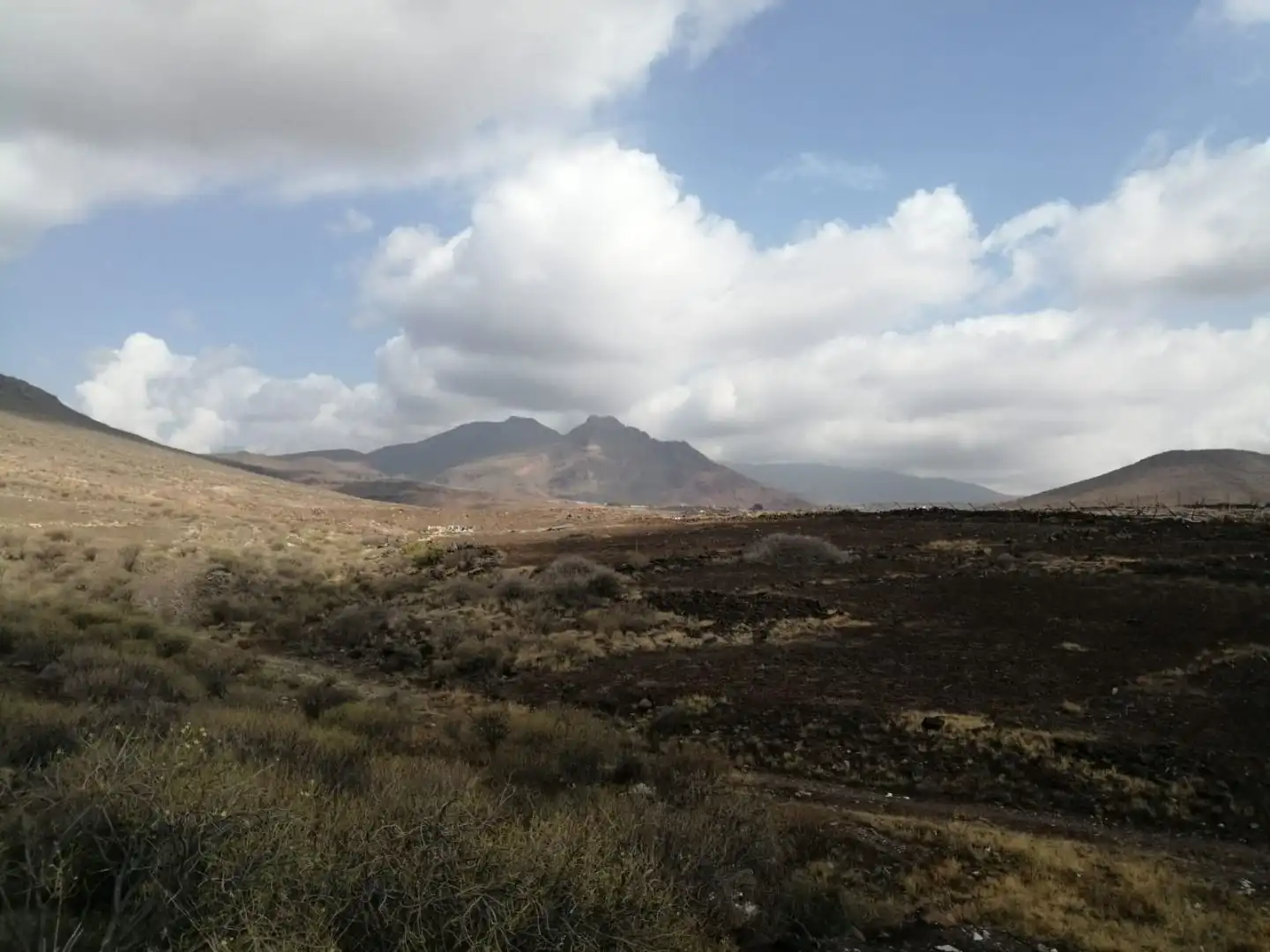 Vista exterior de Finca rústica en venta en Santa Lucía de Tirajana