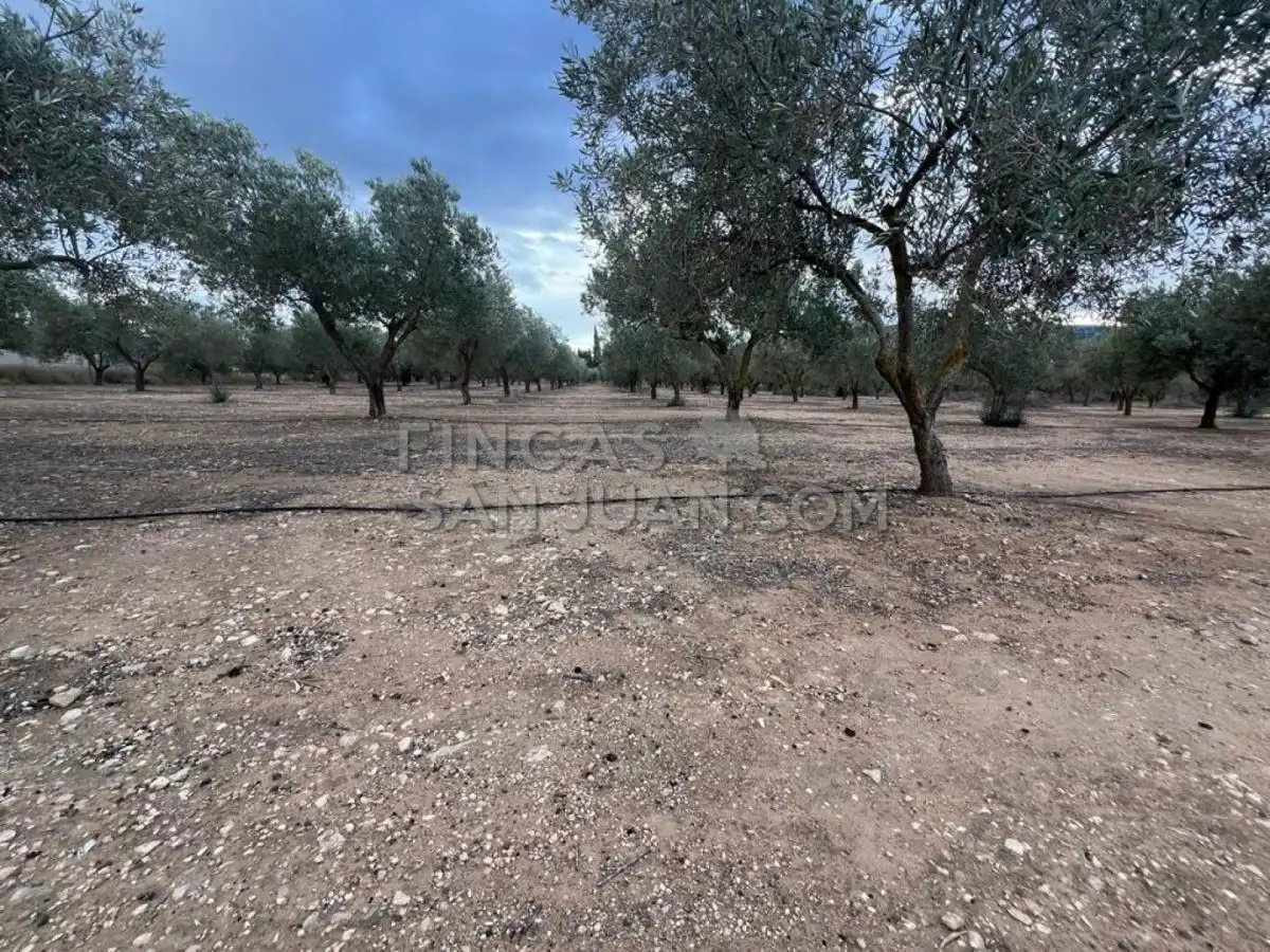 Country homes for sale in Biar
