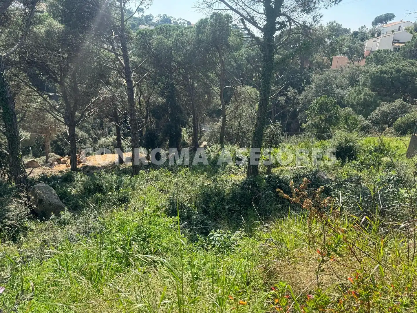 Residential land for sale in Serra Brava, imagen 6