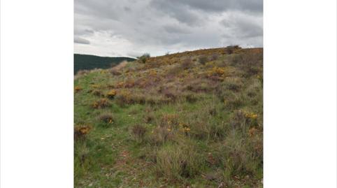 Photo 2 of Residential to rent in Clarés de Ribota, Zaragoza