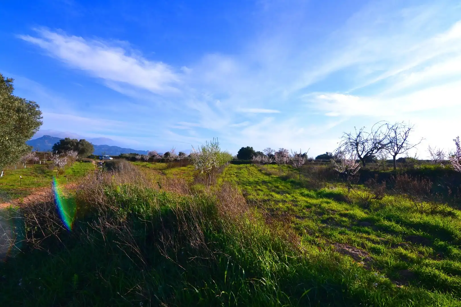 Rural land for sale in Gandesa, imagen 29