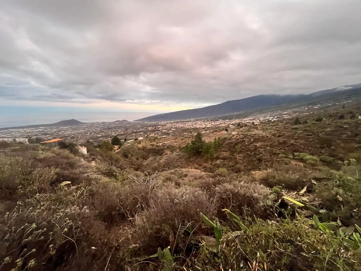 Rural land for sale in Camino Camino de los Barranquillos