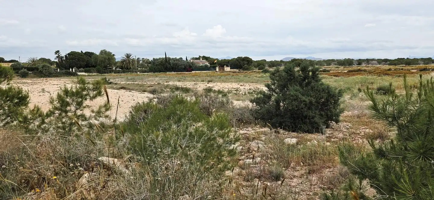 Residential zum Verkauf in Elche / Elx